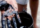 Equipe da ANP se surpreende com descoberta de petróleo durante perfuração de poço no Ceará
