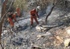 Ronda Verde intensifica fiscalização em áreas atingidas por incêndios na Bahia