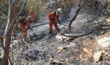 Ronda Verde intensifica fiscalização em áreas atingidas por incêndios na Bahia
