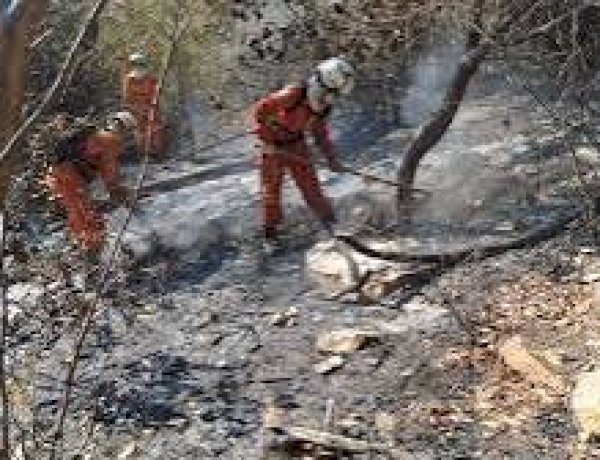 Ronda Verde intensifica fiscalização em áreas atingidas por incêndios na Bahia