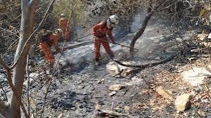 Ronda Verde intensifica fiscalização em áreas atingidas por incêndios na Bahia